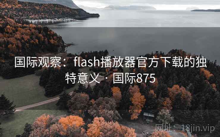 国际观察:flash播放器官方下载的独特意义 · 国际875 第2张 国际观察:flash播放器官方下载的独特意义 · 国际875 第2张