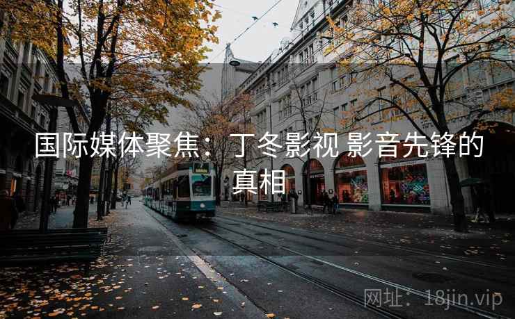 国际媒体聚焦:丁冬影视 影音先锋的真相 第2张 国际媒体聚焦:丁冬影视 影音先锋的真相 第2张