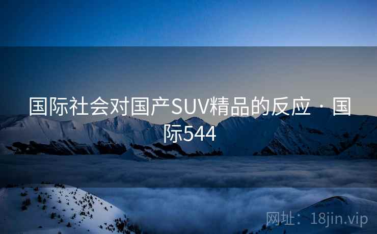 国际社会对国产SUV精品的反应 · 国际544  第2张